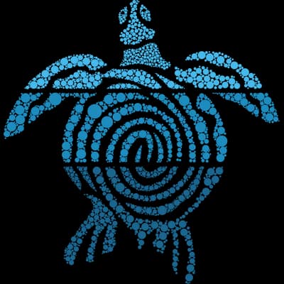 Turtle Logo